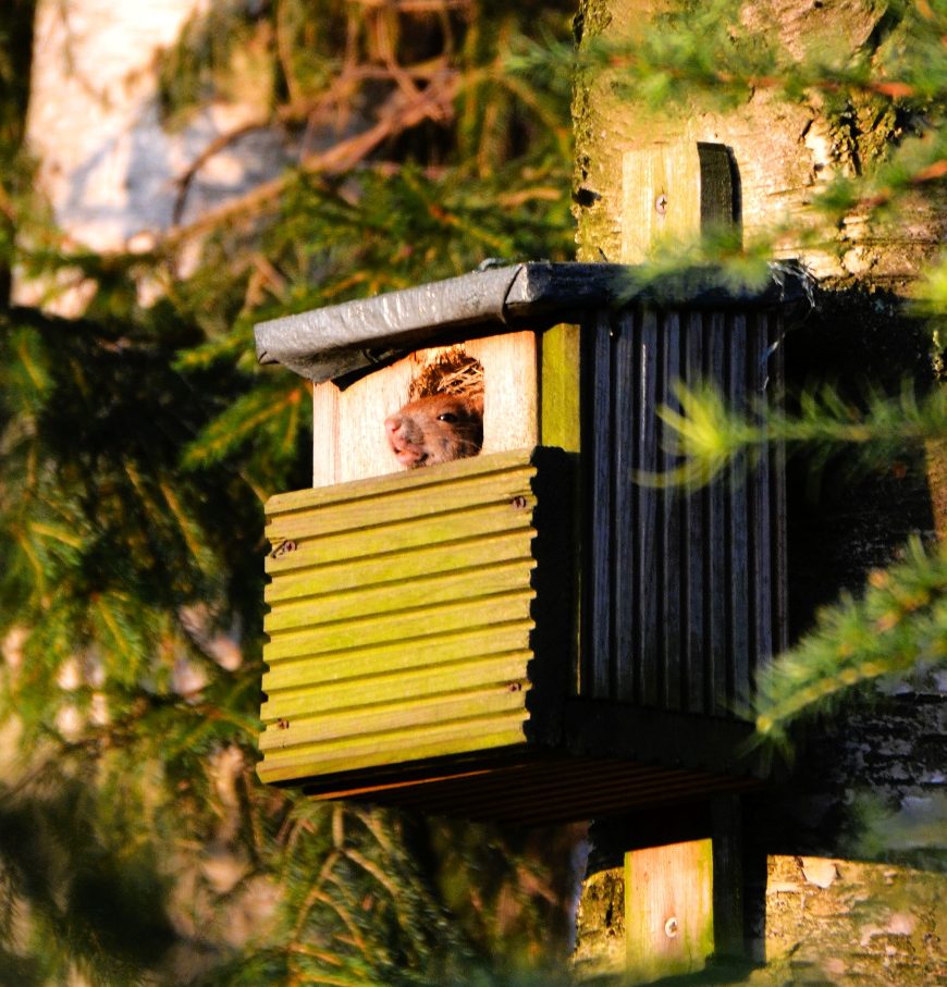 Foto Eichi hat sein Ziel erreicht Foto Eichi hat sein Ziel erreicht