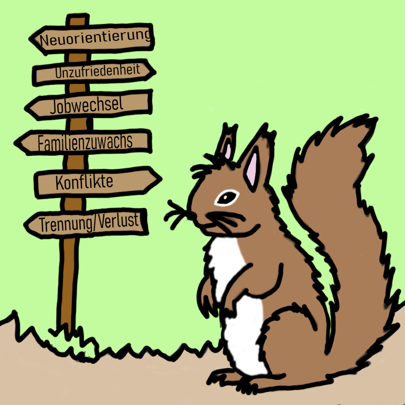 Eichi sucht seinen Weg Eichhörnchen sucht seinen Weg